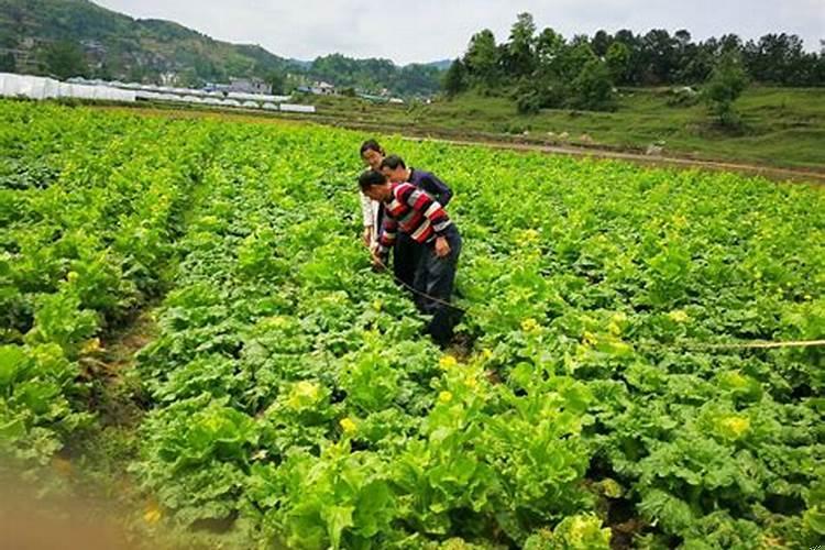 还完阴债感觉更不顺了