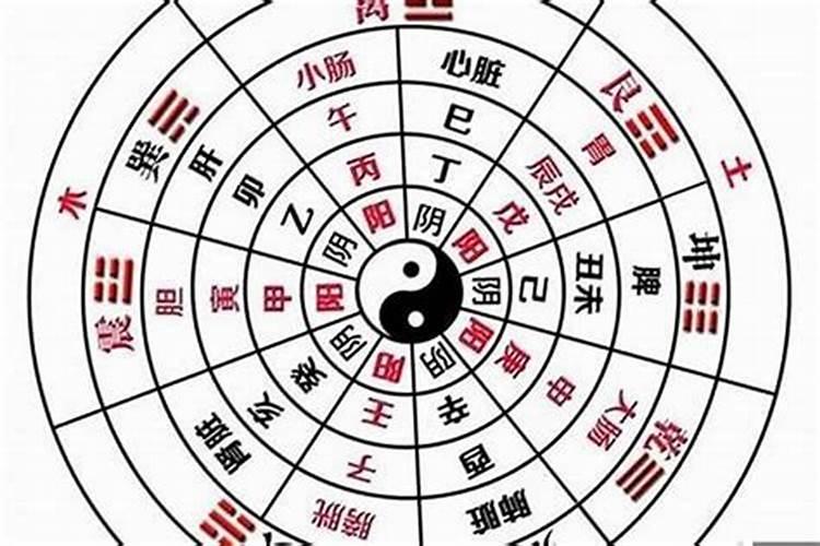 怎么看八字属阴还是阳