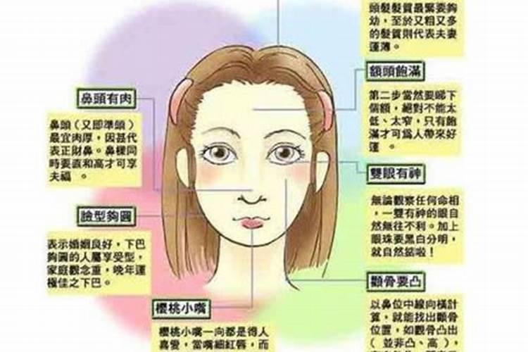 属猪女跟属猪男的婚姻如何