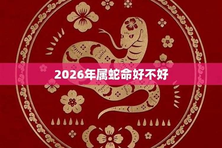 2024年对属蛇的人好不好