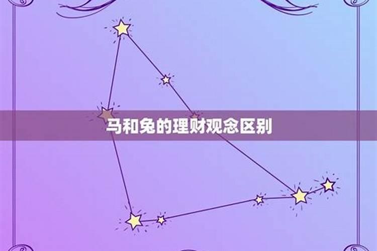 属马和属兔的配婚合不合