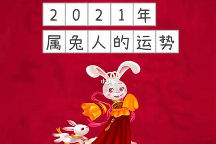 属兔2021年运势及运程详