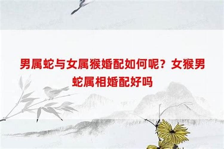 三十六岁转运是什么意思