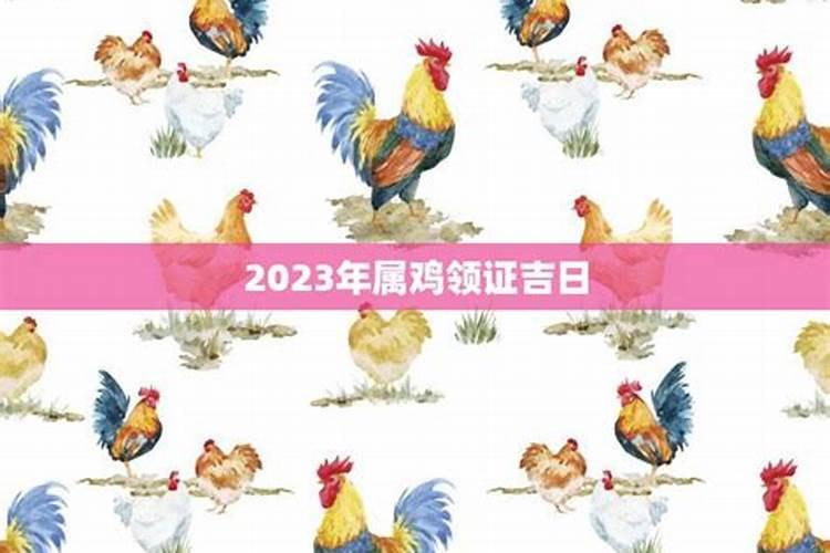 2023年属鸡结婚好吗