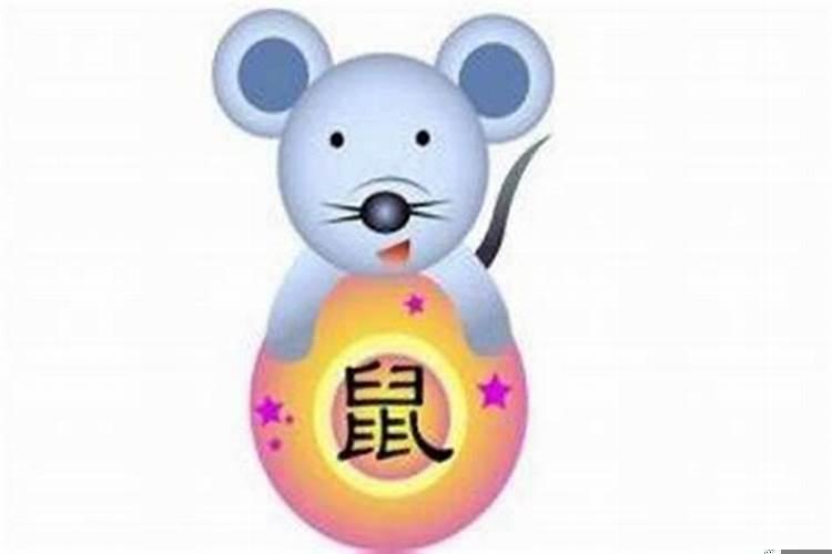 生肖今年属鼠年运势如何