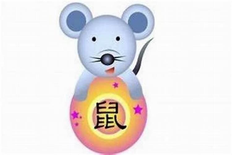 生肖今年属鼠年运势如何