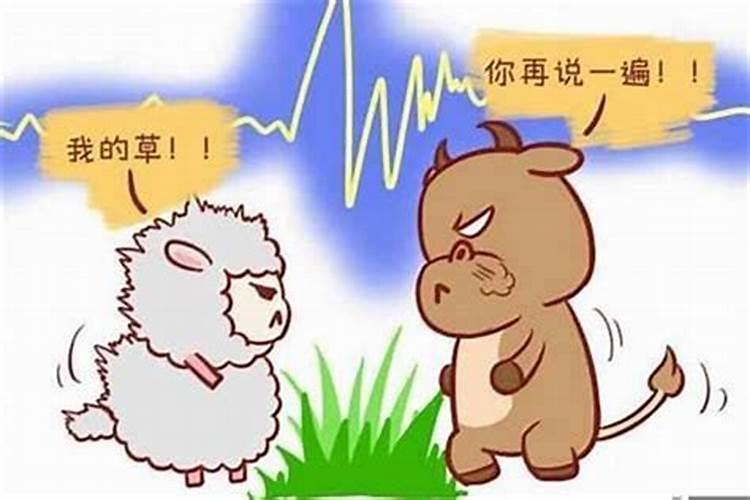 羊和兔合得来吗生肖