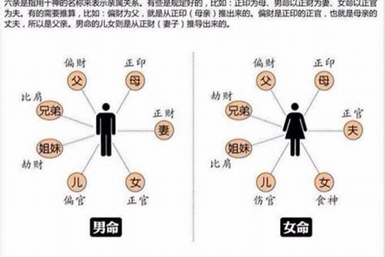 属蛇犯太岁有什么症状