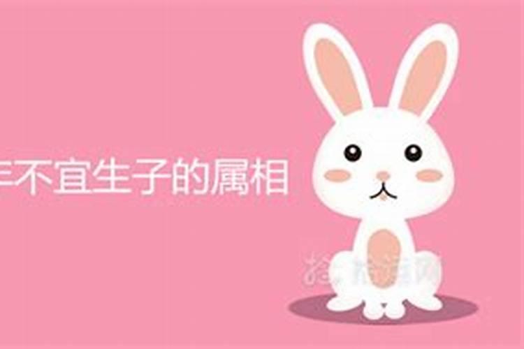 男女都属兔2023年可以结婚吗