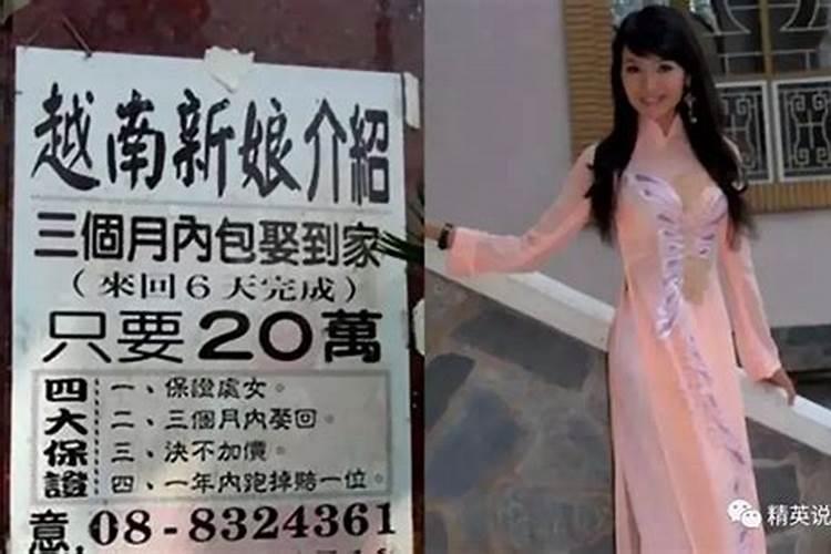 兔女和男马属相合不合婚姻关系