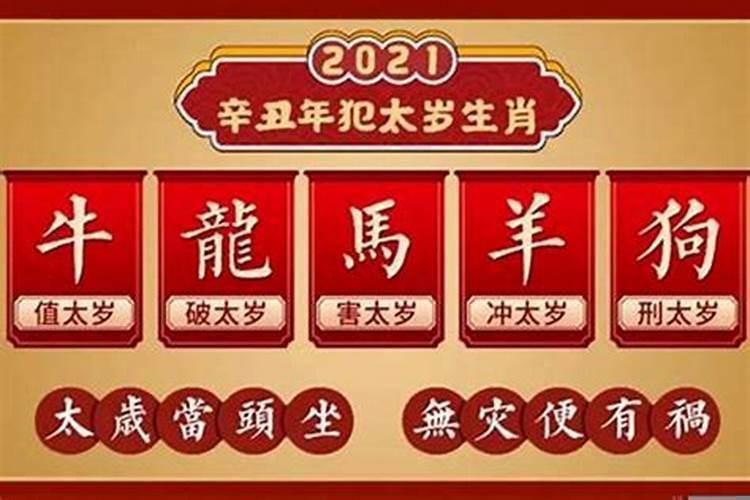 95年属猪2021年犯太岁吗