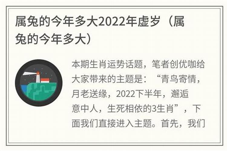 属兔的今年虚岁多大2023