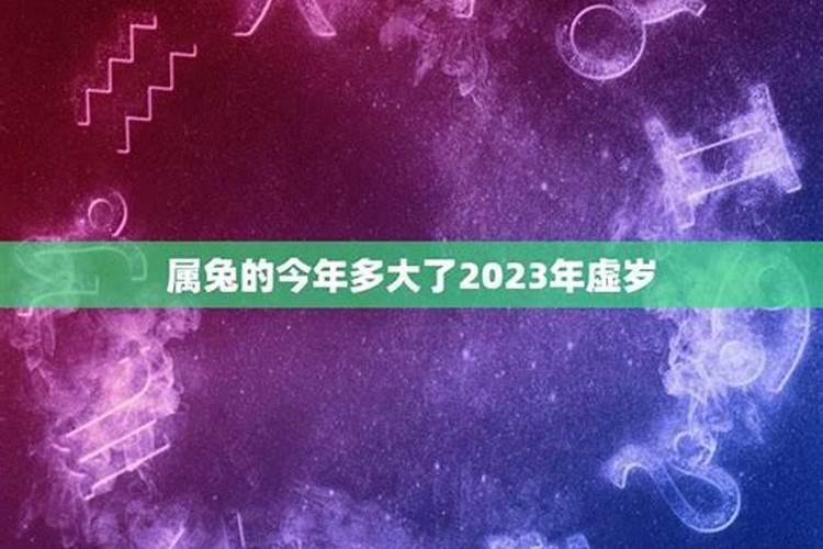 属兔的今年虚岁多大2023