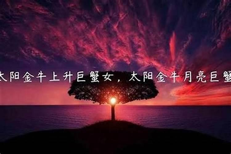 狮子座最近的运势好