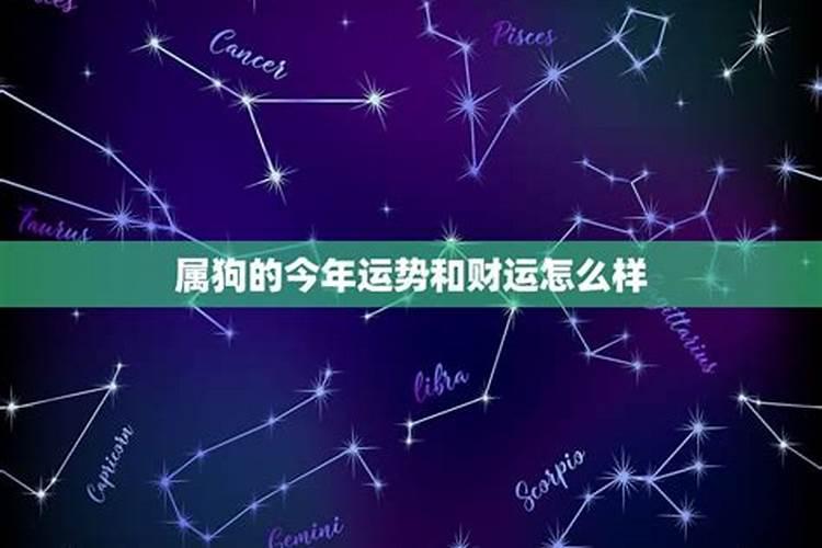 属狗的今天财运几颗星