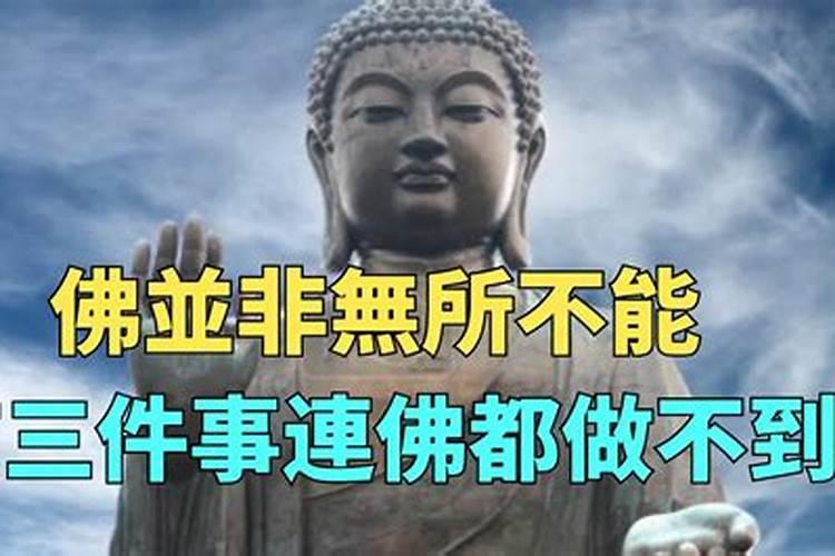 1999年11月26日属什么