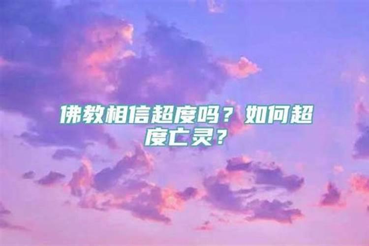 属兔的和属大龙的合吗