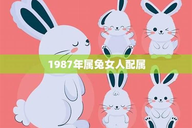 1987年属兔的最佳配偶