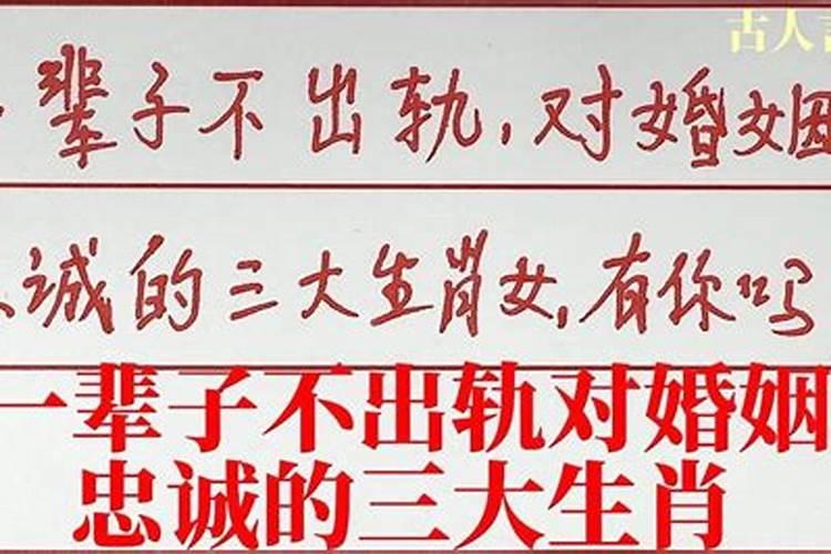 对婚姻不忠诚是指什么