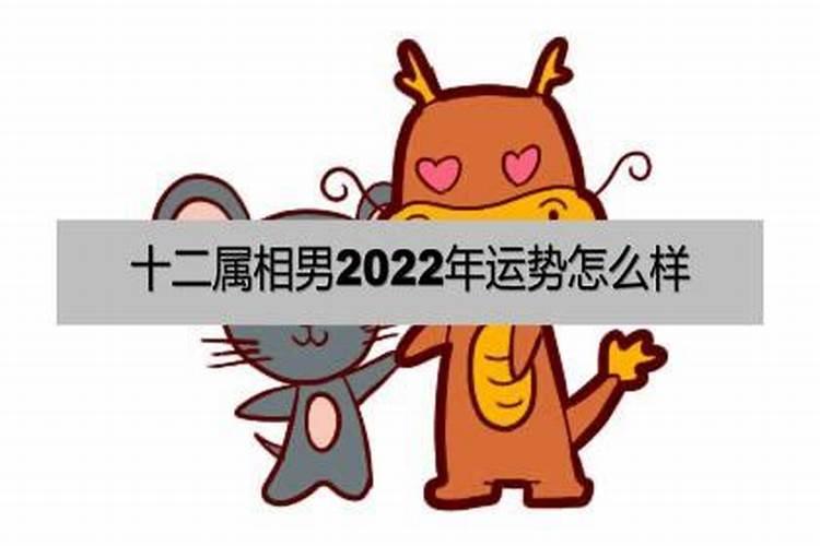 2022年运势好的星座男