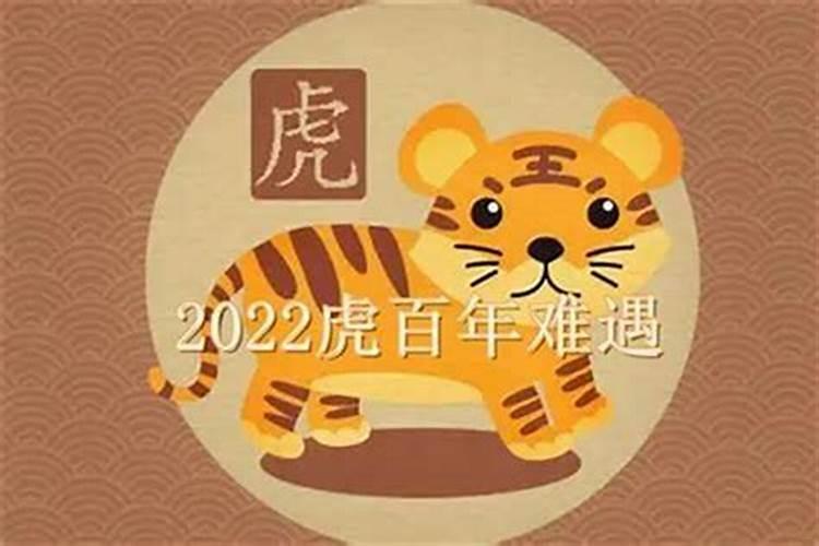 2023年属虎宝宝几月出生最好