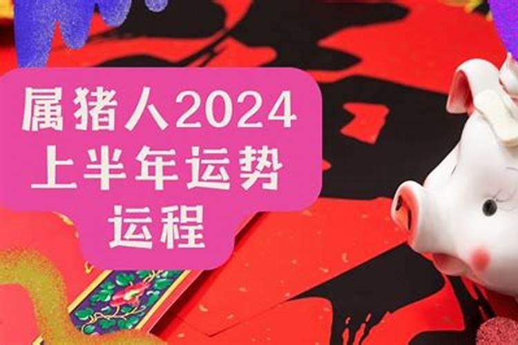 属猪下半年运势2022运势