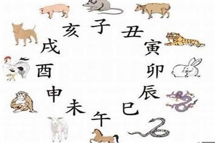 猪蛇相冲出什么生肖