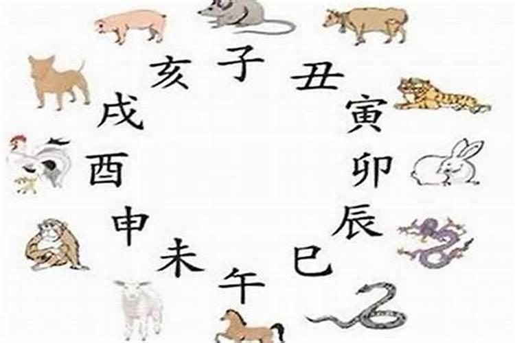 猪蛇犯冲怎么破解