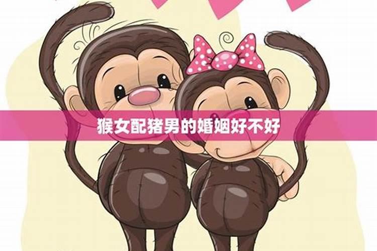 猪猴婚姻如何化解