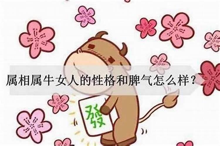 兔与牛属相婚配好吗男