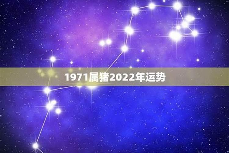 1971属猪2021运势