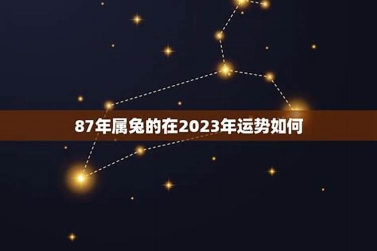 87年属兔的2023年财运怎么样呢