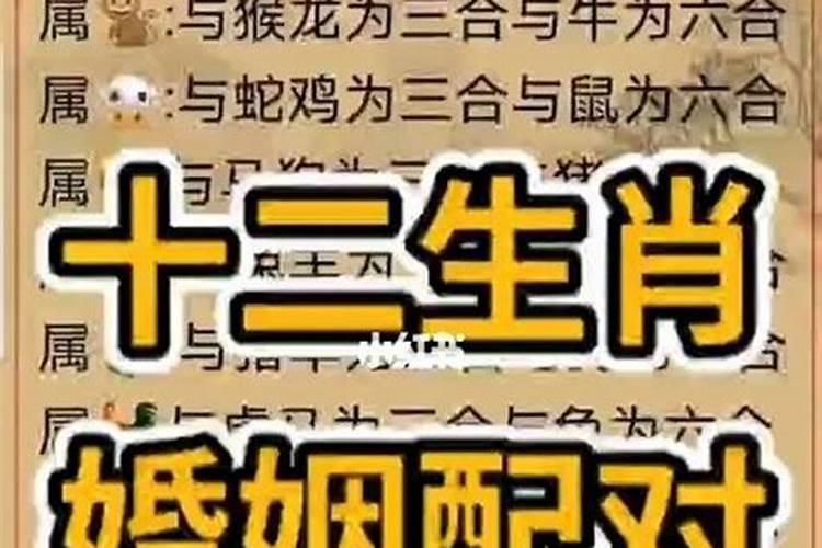 四柱八字梅花易数大六壬小六壬六爻奇门遁甲