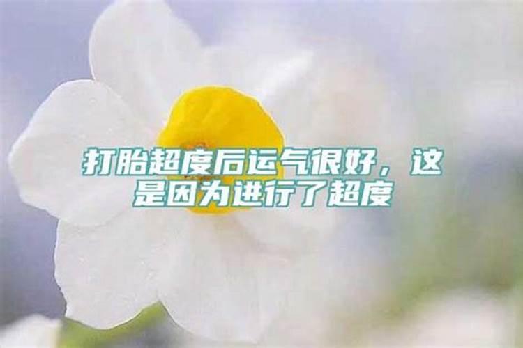 二月属虎的命运怎么样