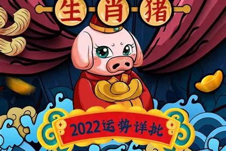 2020年属猪的财运怎么样