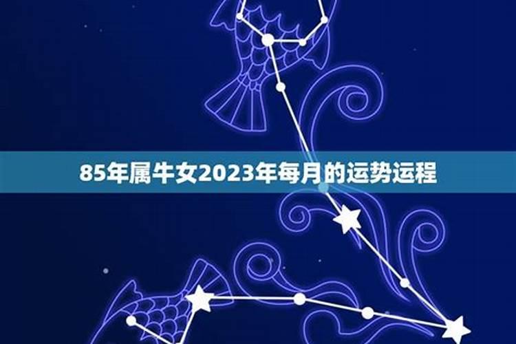 2020年属牛运势女每月运势