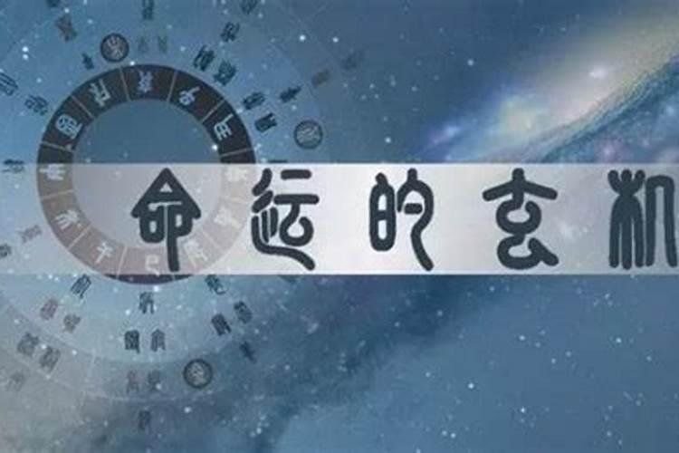 今天属兔的人财运如何呢