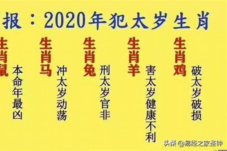 鼠年犯太岁的属相有哪些呢