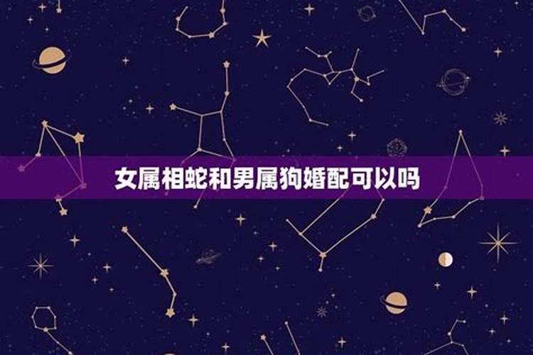 各个生肖的特点