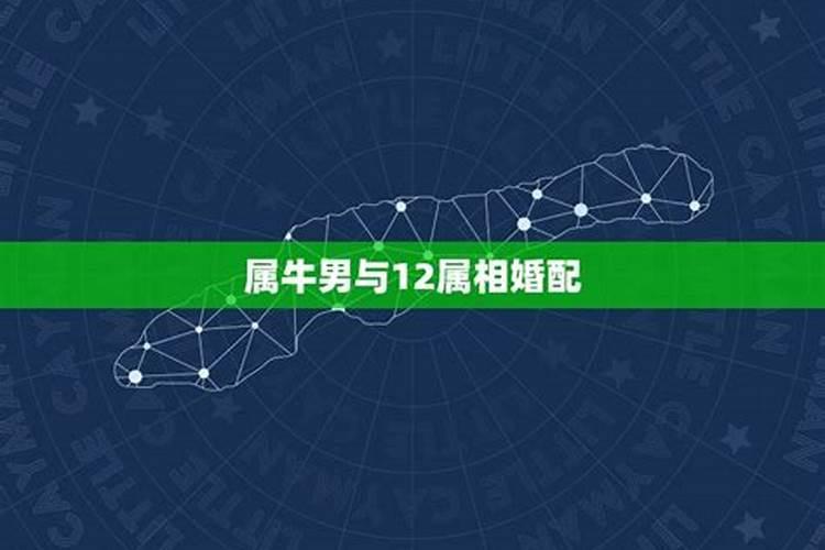 2022年属鸡人的每月运势运程