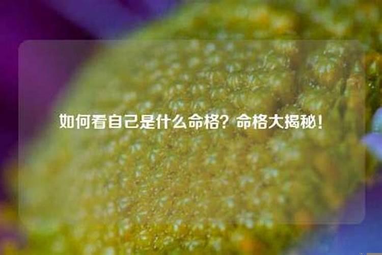 怎样看一个人的命格