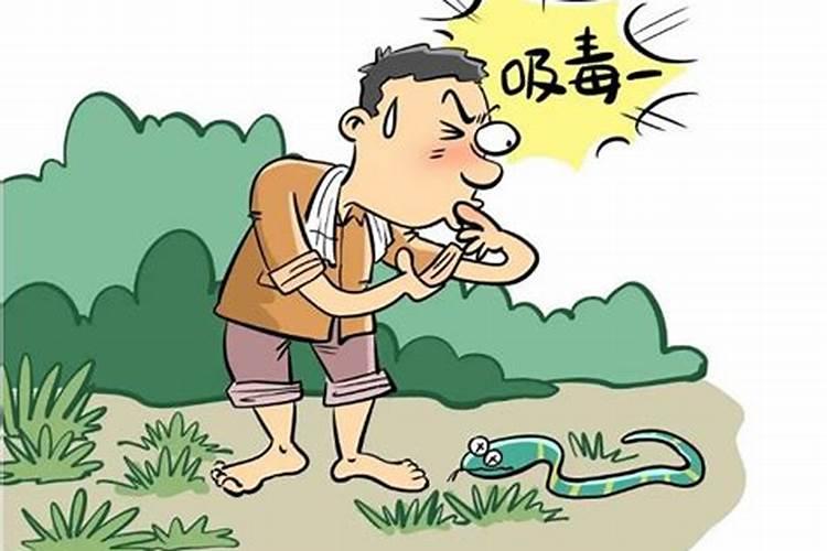 梦见大蛇咬我儿子什么意思周公解梦