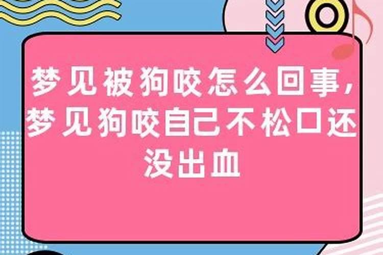 男人梦到狗咬是什么意思周公解梦