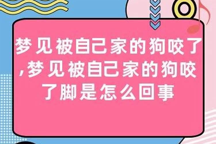 梦见别人家的狗咬我是怎么回事