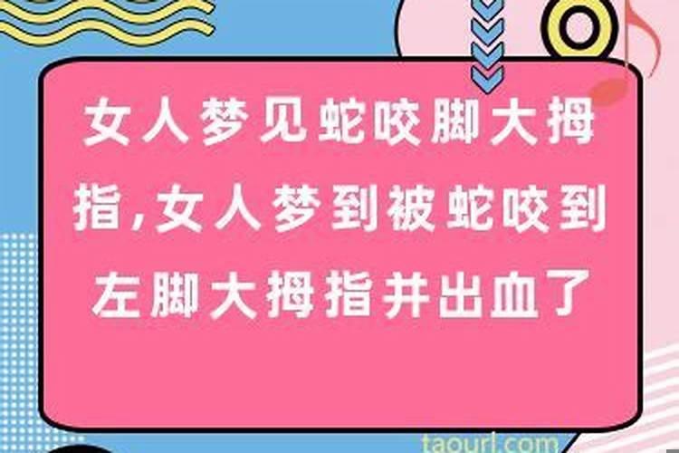 女人梦见蛇把脚咬了