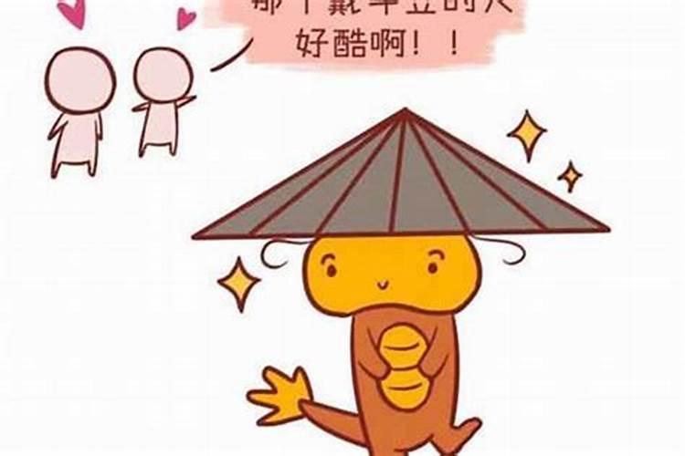 男属马女属龙婚姻合吗