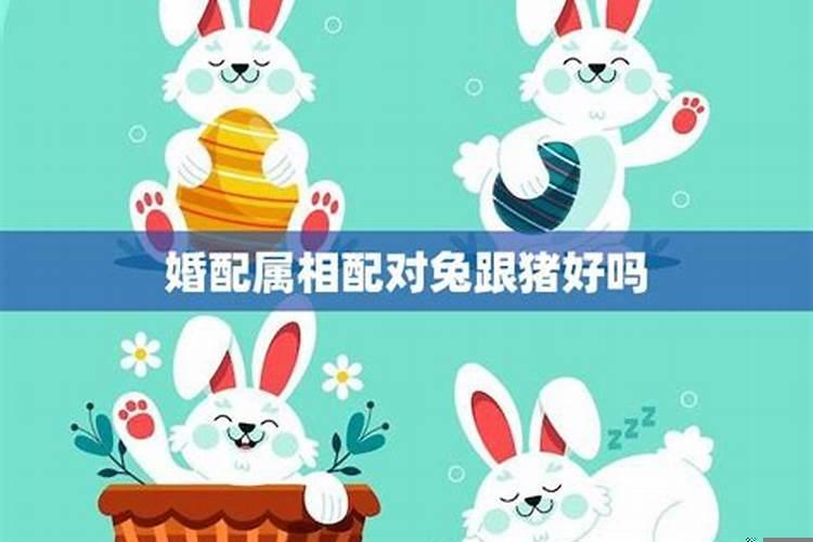 本命年红绳可以戴脖子上吗