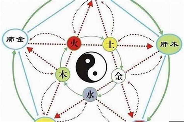 属狗的今天幸运数字