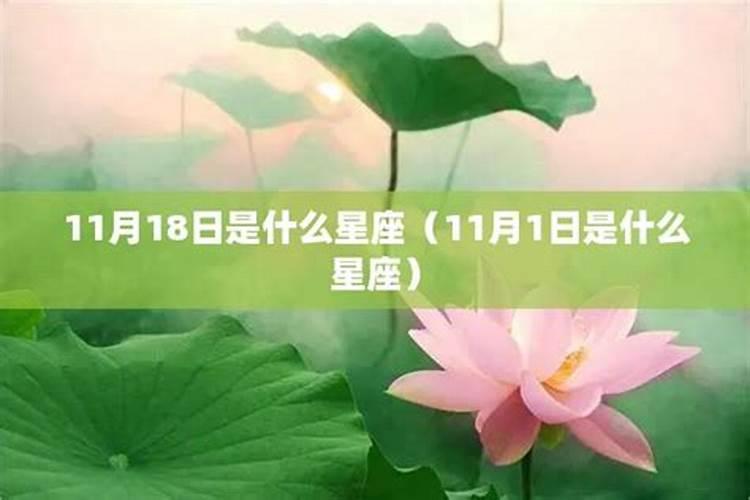 11月18日的是什么星座