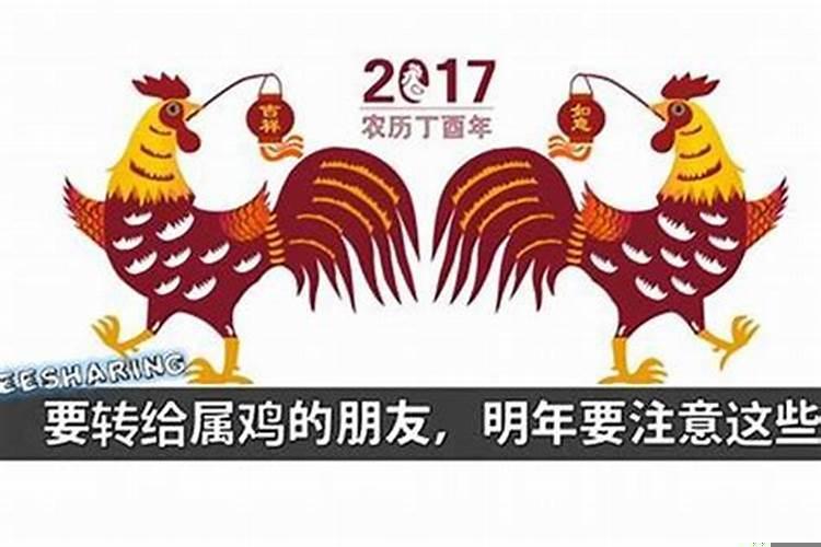 明年怀孕生出来的宝宝属相是什么